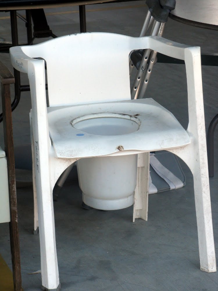 potty chair for adults