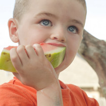 Watermelon Gang eats Watermelon in the trees