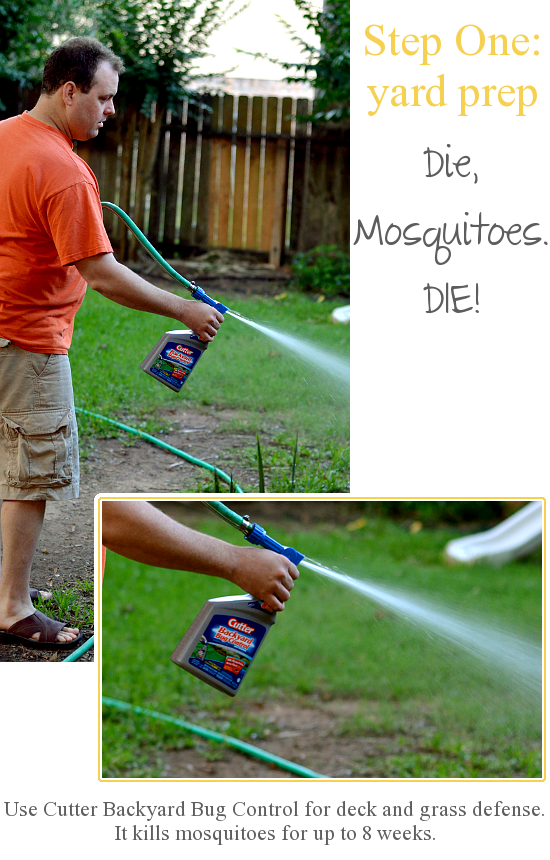 How To Kill Mosquitoes