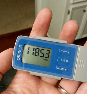 omron pedometer -- helping me lose WEIGHT!