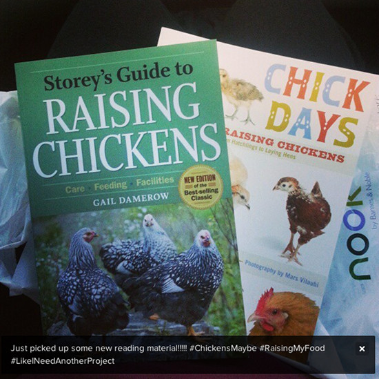 rasing chicken books