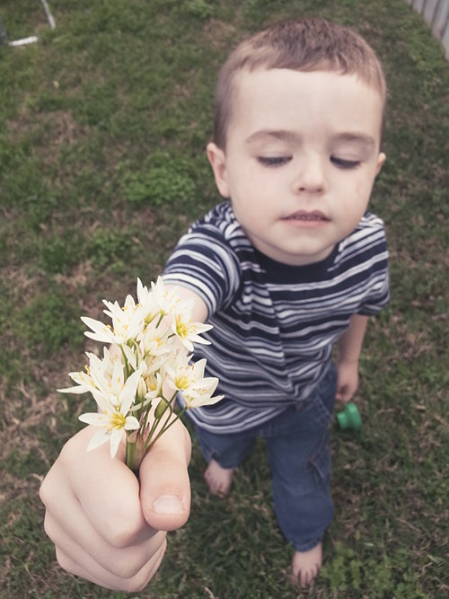 flowers for mommy