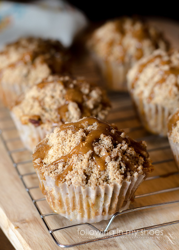 Apple Biscoff Coffee-Cake Muffins