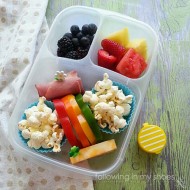 Back to School Lunch Packing: Easy Lunchboxes Giveaway {closed}