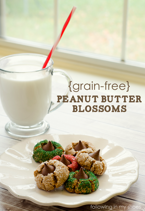 Flourless Grain-Free Peanut Butter Blossoms