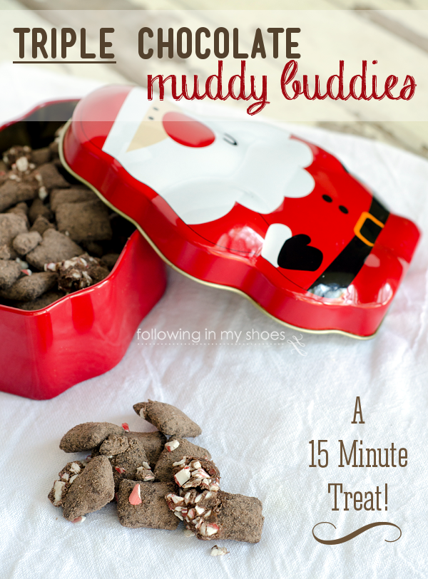 Chocolate Muddy Buddies Recipe