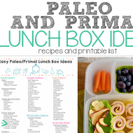 Paleo and Primal Lunch Ideas (and printable list)