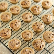 Flourless Cocoa-Monkey Muffins