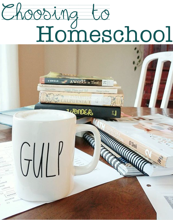 homeschooling, deciding to homeschool, texas homeschool